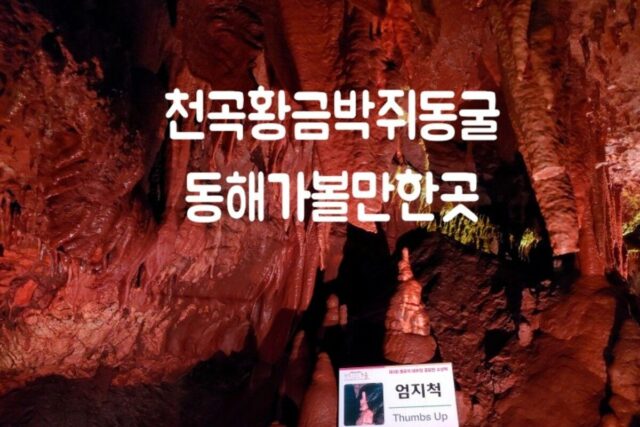 황금박쥐를 찾아 떠난 동해 가볼만한 곳 천곡 황금박쥐동굴 in 강원도 여행