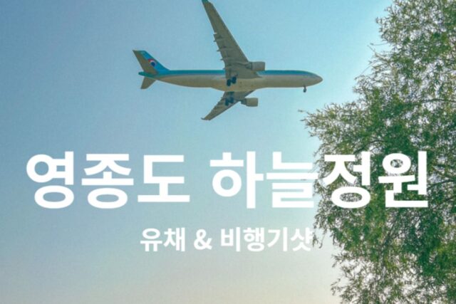 인천공항 영종도 하늘정원 유채꽃과 비행기샷 촬영하는 방법