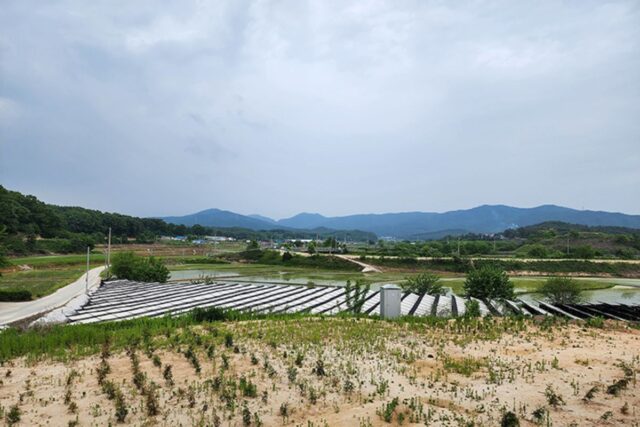 서울근교 브런치 카페 홀츠가르텐 여주 분위기 좋은 베이커리 카페