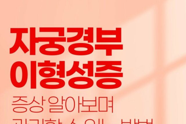 자궁경부 이형성증 증상 1단계 증상 및 원인 (+HPV바이러스)