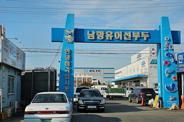 인천배낚시 아마추어도 재밌는 인천바다낚시