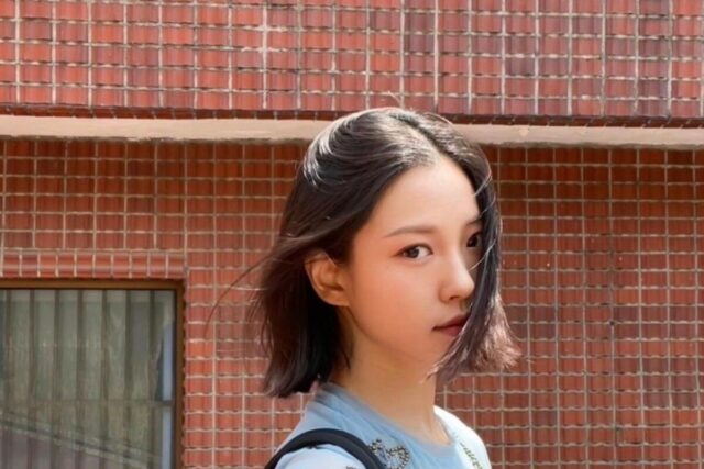 고민시 레트로 빈티지한 나비 반팔티셔츠 가격은?