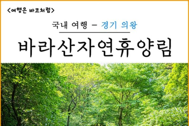 의왕 가볼만한곳 바라산 자연휴양림, 자연 속에서 산림치유 프로그램