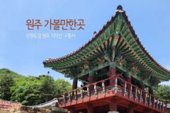 강원도 절 원주 치악산 구룡사 원주 가볼만한곳