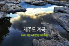 제주도 계곡 묘하디 묘한 제주강정천 서귀포여행