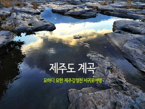 제주도 계곡 묘하디 묘한 제주강정천 서귀포여행