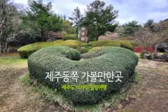 제주동쪽 가볼만한곳 제주도 비자림 힐링여행