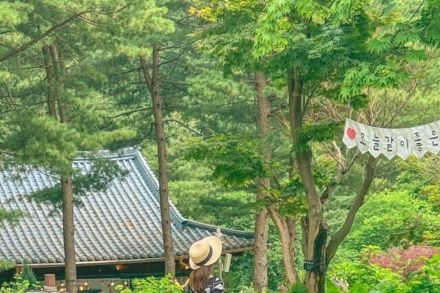 가평 아침고요수목원 수국축제 및 포토존 정리