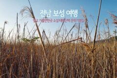 전남 보성 여행 벌교 가볼만한곳 소설 태백산맥 문학기행길