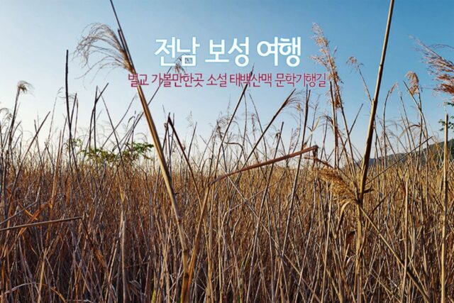전남 보성 여행 벌교 가볼만한곳 소설 태백산맥 문학기행길