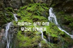 강원도 삼척 가볼만한 곳 도계읍 무건리 이끼 폭포 이끼계곡