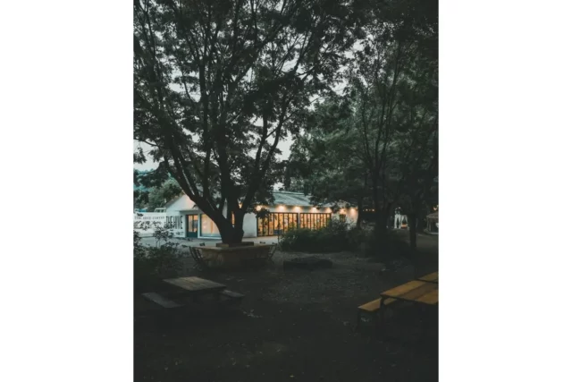남양주시 카페 더하이브, 메타세콰이어 나무숲 사이에 카페가 있다