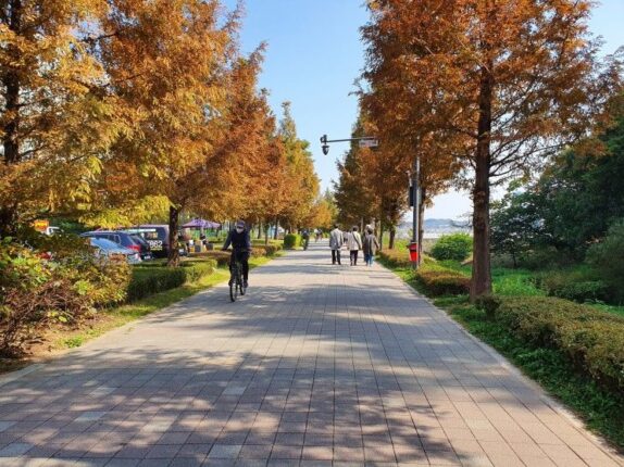서울근교나들이, 운정호수공원 한번 가보세요.
