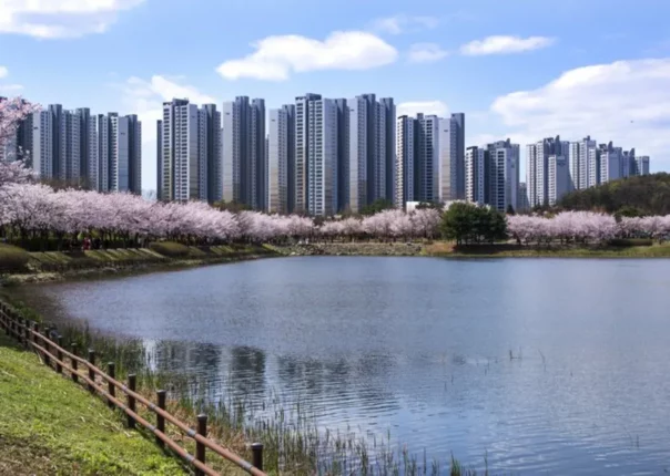 안산드라이브 코스 갈만한곳 바다향기수목원, 화랑유원지