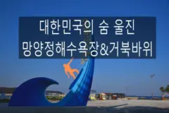 대한민국의 숨 울진 가볼만한 곳 망양정해수욕장 with 거북바위
