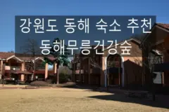 관광공사 추천 웰니스 관광지:: 강원도 동해 숙소 동해무릉건강숲