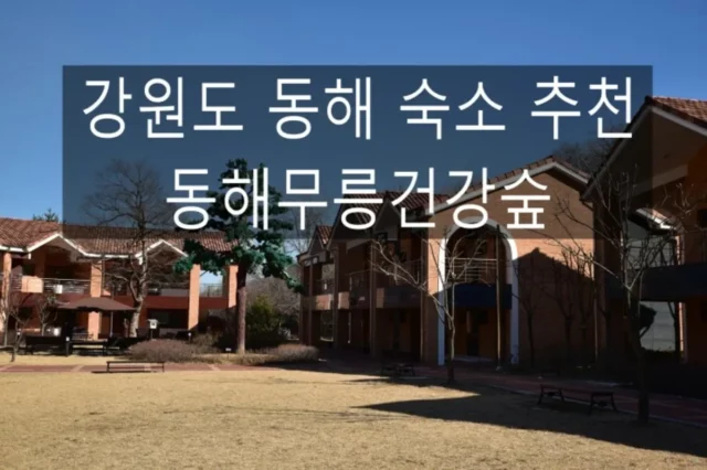 관광공사 추천 웰니스 관광지:: 강원도 동해 숙소 동해무릉건강숲