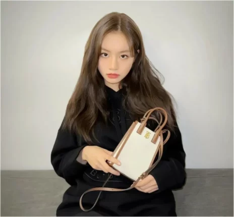 혜리 인스타 패션 미니 캔버스백은 버버리