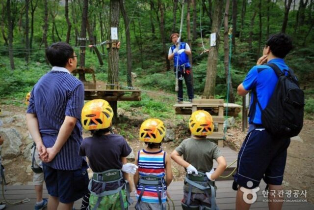 여름국내여행지 아이와 함께 하기 좋은 용인자연휴양림 에코어드벤처 숲놀이터