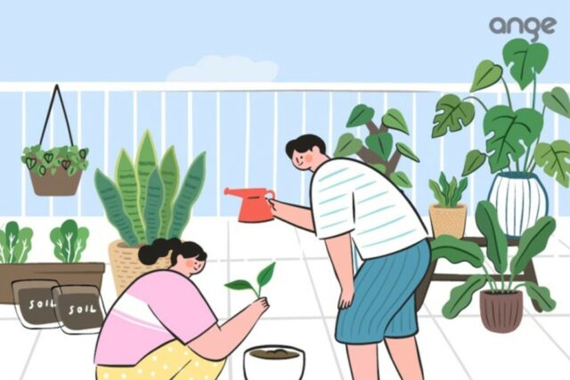 소소한 기쁨까지 수확하는 베란다 텃밭 시작하기