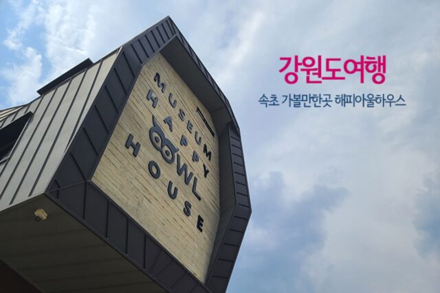 강원도 여행 속초 가볼 만한 곳 해피아울하우스
