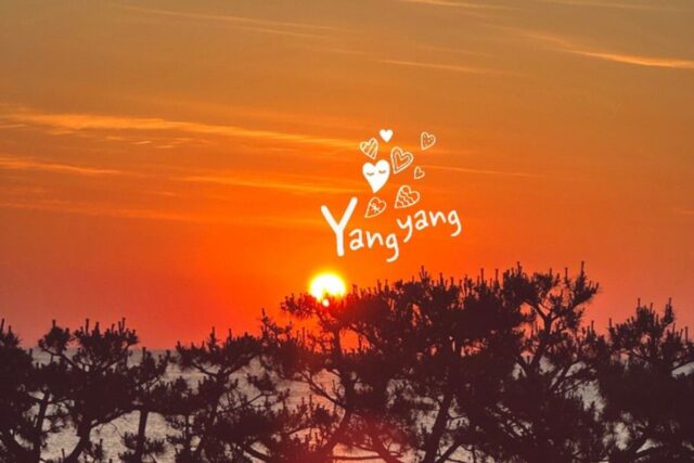 강원도 양양 오션뷰 펜션 바라던바다, 쉼 그리고 동해 일출