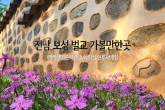 전남 보성 벌교 가볼만한곳 태백산맥문학관 소화의집 현부자네집