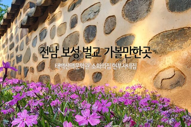 전남 보성 벌교 가볼만한곳 태백산맥문학관 소화의집 현부자네집