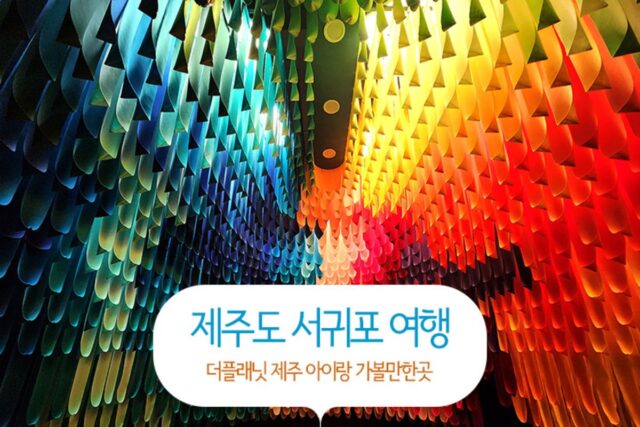 제주도 서귀포 여행 더 플래닛 제주 아이랑 가볼 만한 곳