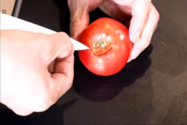 건강한 토마토주스 만드는법