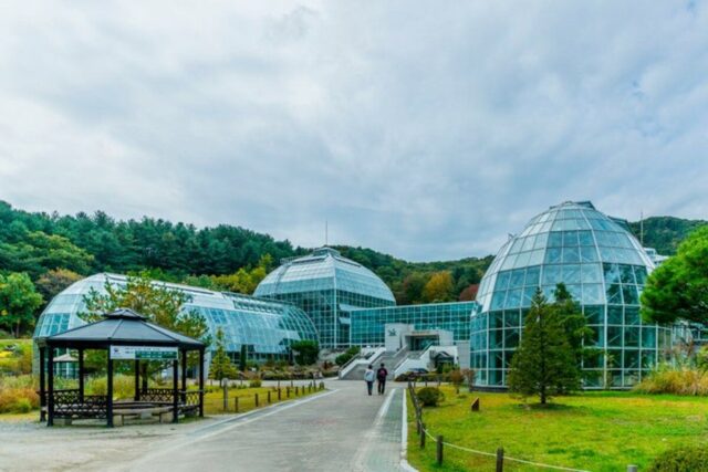 산책하기좋은 포천 국립수목원(광릉수목원) 둘레길