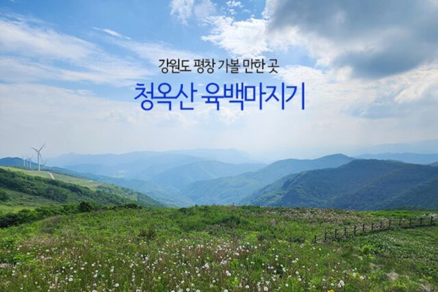 강원도 평창 가볼 만한 곳 청옥산 육백마지기