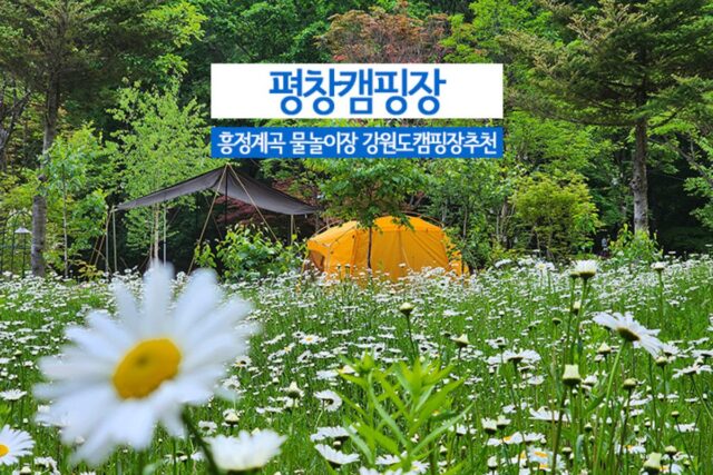 평창 캠핑장 흥정계곡 물놀이장 강원도 캠핑장 추천