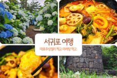 서귀포 여행 대포주상절리 찍고 중문 마라탕 맛집