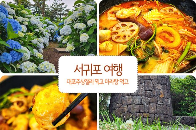 서귀포 여행 대포주상절리 찍고 중문 마라탕 맛집