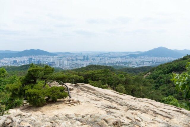 여름등산 관악산 계곡 연주대 둘러보기