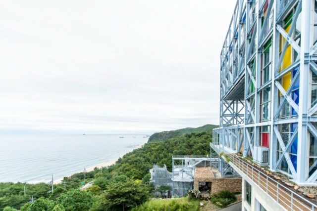 강릉 핫플, 하슬라아트월드 실내 데이트 갈만한곳