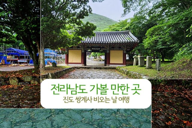 전라남도 가볼 만한 곳 진도 쌍계사 비 오는 날 여행