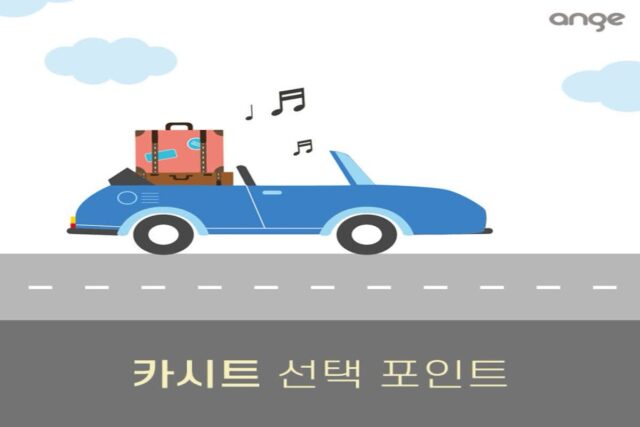 도로 위 안전 필수품, 카시트 선택 포인트