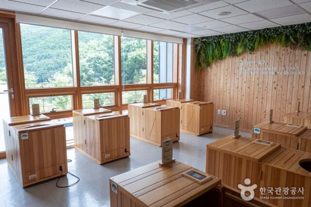 국립산림치유원 숲에서 힐링 치유장비프로그램 예약 방법