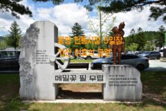 강원도 평창 가볼만한 곳 봉평 전통시장 5일장 가산 이효석 공원