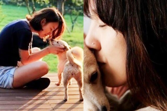 새벽에 이효리가 올린 사진 한 장, 그 의미에 팬들 눈물 쏟았다