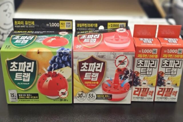 다이소 초파리트랩 화분 화장실 초파리 트랩 퇴치기 실효성 테스트