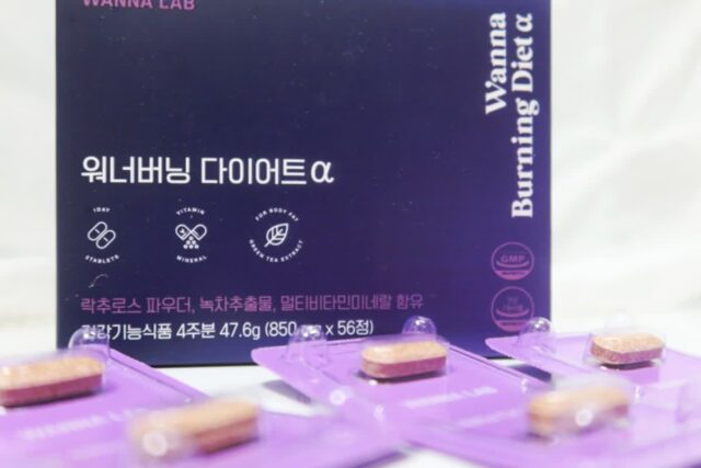 워너랩 워너버닝 다이어트 알파 단기 체중 감량 후기
