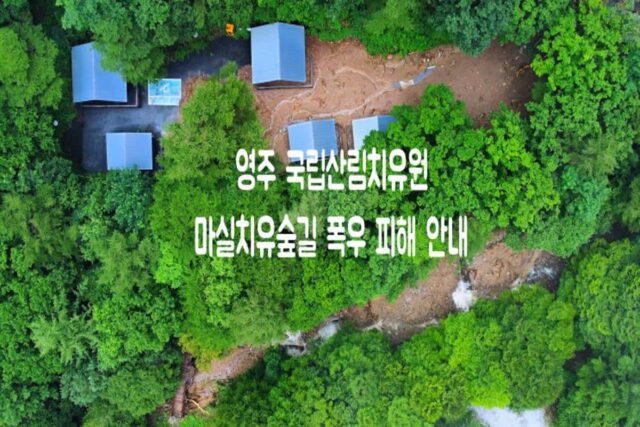 영주 가볼만한 곳 국립산림치유원 마실치유숲길 폭우 피해 알림