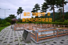 울진 가볼만한 곳 울진덕신리고분공원