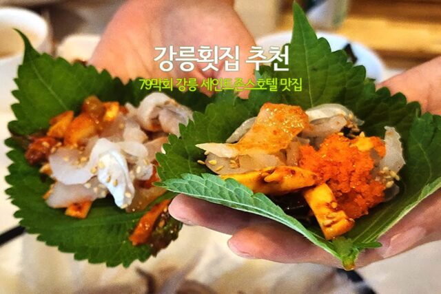 강릉횟집 추천 79막회 강릉 세인트존스호텔 맛집