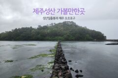 제주 성산 가볼 만한 곳 성산일출봉과 제주 오조포구 주차