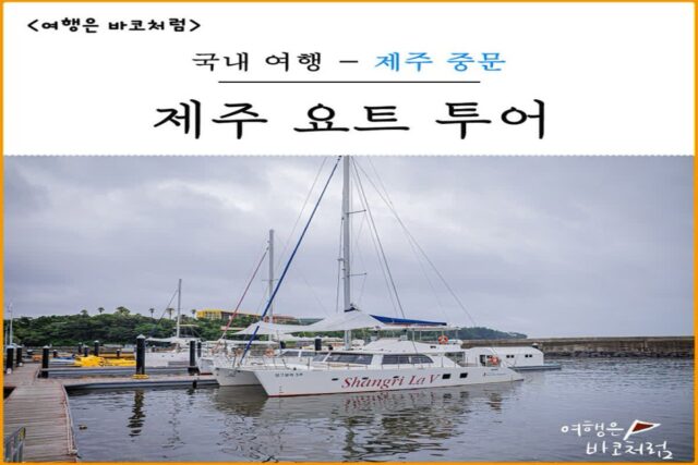 제주 요트 투어 돌고래, 선상 낚시 체험까지 알차게 즐겼어요