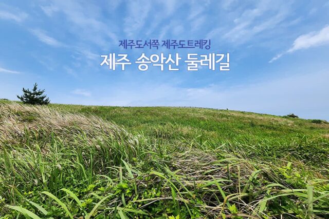 제주도 서쪽 제주도 트레킹 제주 송악산 둘레길
